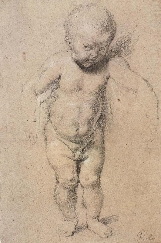 Peter Paul Rubens Jesus-s Childhood china oil painting image